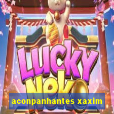 aconpanhantes xaxim